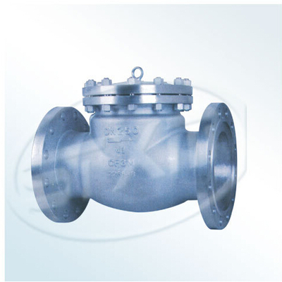 专业品质，值得信赖——厦门双特阀门厂美标法兰不锈钢旋启式止回阀深度解析